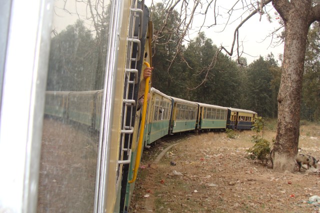 Toy Trains of Shimla: A Heritage of Indian Railways | Rashid's Blog: A ...
