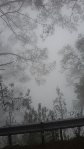 20140618_143443.jpg image