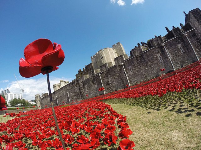 ceramic-poppies-installation-first-world-war-london-tower-3