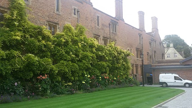 20140824_160018.jpg image