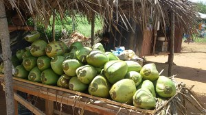 A Roadside Vendor 