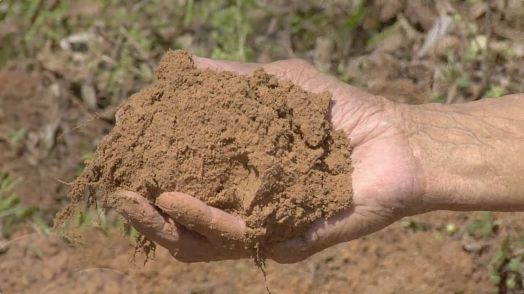choosing-and-gathering-a-silt-soil