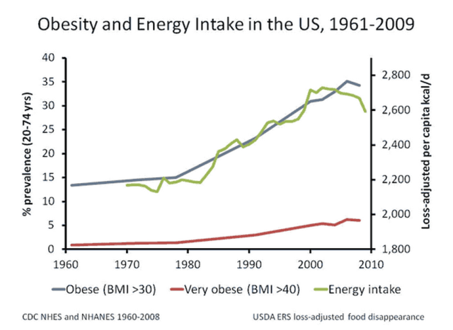 obesity_and_calories_2