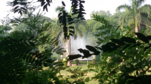 20160925_074546.jpg image