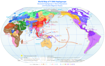 340px-world_map_of_y-dna_haplogroups