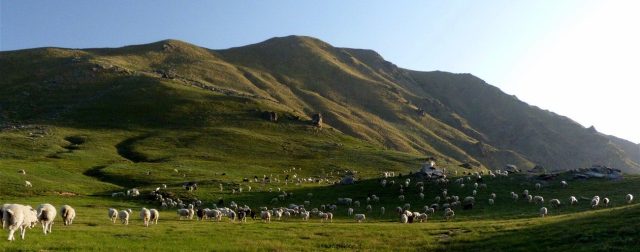 dayara-bugyal-in-june-28-1300-x-866-e1474378541527