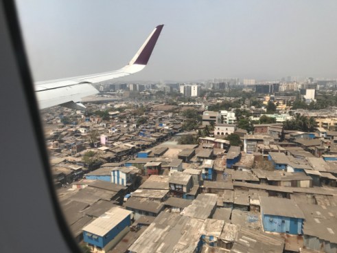 image_542656283772026